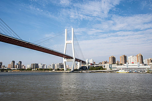 南浦大桥,上海,浦东