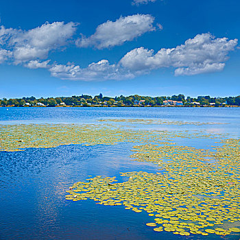 湖,韦克菲尔德,靠近,波士顿,马萨诸塞