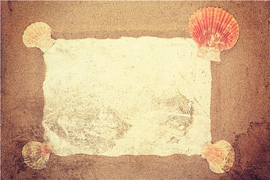 旧式,海螺壳,沙子,白色,纸,背景
