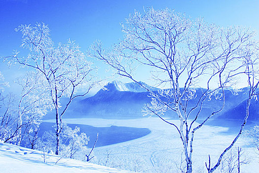 霜,湖