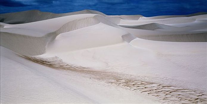 沙漠,沙丘