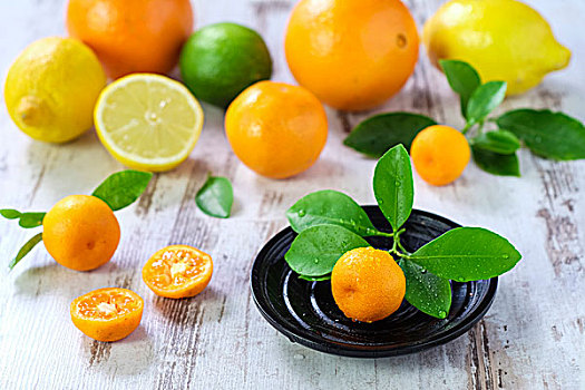 橘子,柠檬,克莱门氏小柑橘,白色背景,木桌子