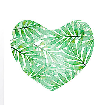 心形,绿色,水彩,棕榈树,枝条,白色背景,热带,背景