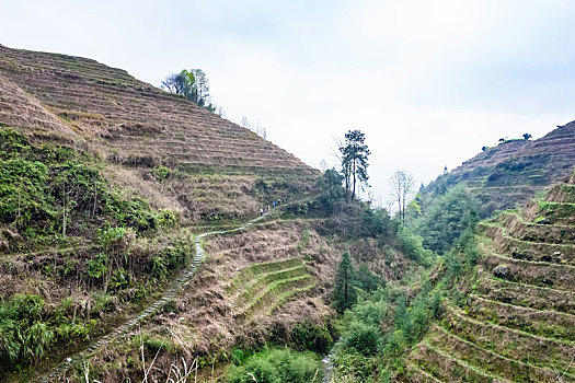 阶梯状,斜坡,山,靠近,乡村