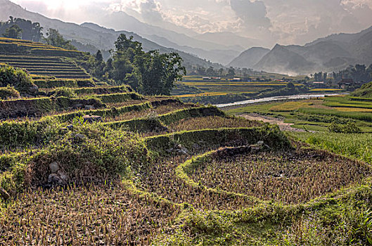 稻米梯田,山谷,区域,越南,印度支那,东南亚,东方,亚洲