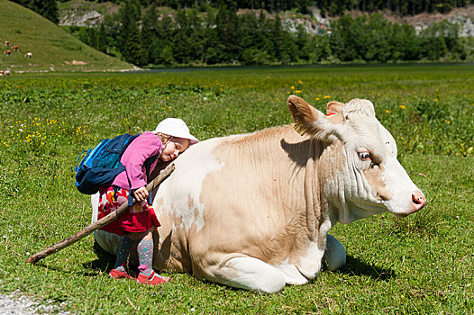 小女孩,背包,拐棍,搂抱,卧,母牛,上巴伐利亚,巴伐利亚,德国,欧洲