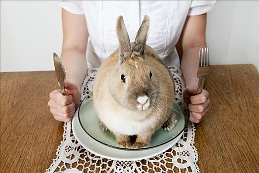 兔子,坐,盘子