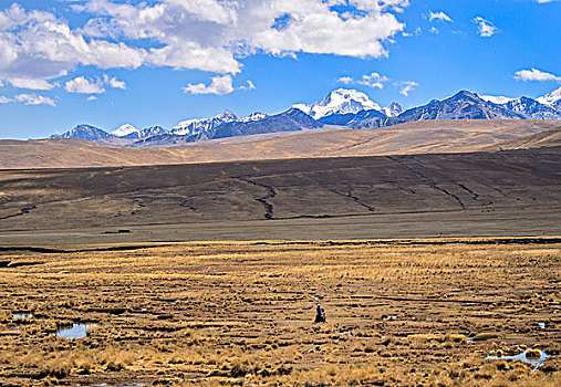 女人,一个,走,高原,山脉,背影,玻利维亚人,玻利维亚,南美