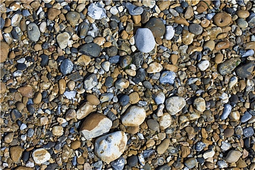 品种,鹅卵石,海滩