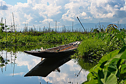 独木舟,漂浮,农场,茵莱湖,掸邦,缅甸,大幅,尺寸