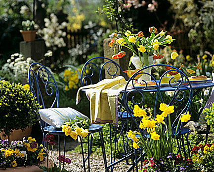 桌子,咖啡,春花,花园