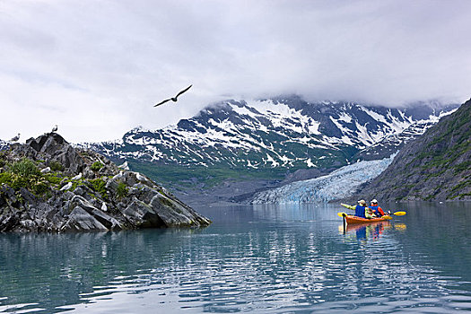 家庭,漂流,湾,冰河,背景,威廉王子湾,阿拉斯加