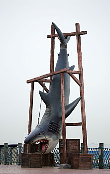 山东省日照市,7米长的,大鲨鱼,倒挂在海边,这个景区用海洋元素吸引游客来打卡