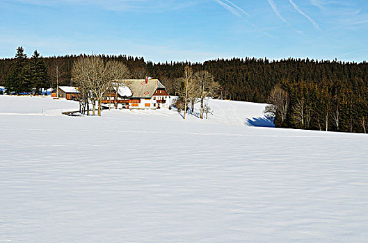 冬季风景,黑森林,巴登符腾堡,德国