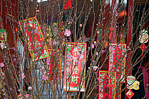 春节,庆祝,庙宇,长,香港