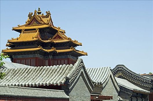 看,塔,故宫,北京,中国
