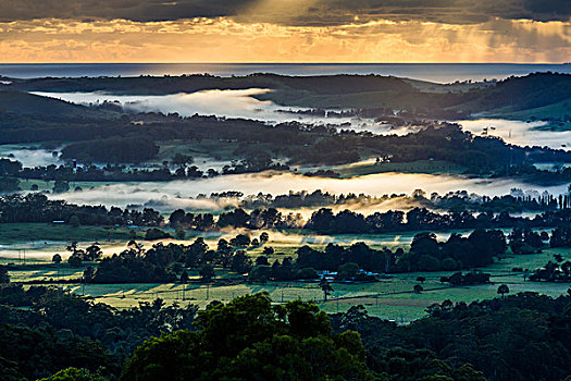 清晨的薄雾,在,农,国家,附近的,浆果,新南威尔士,澳大利亚