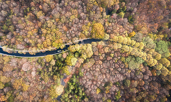 航拍秋天的南京灵谷寺附近的路