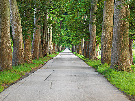 日出,小路