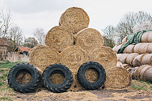 一堆,干草包,轮胎,农场