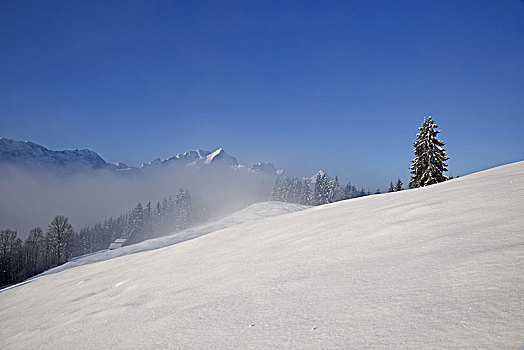 冬季风景,风景,阿尔卑斯峰,加米施帕藤基兴,巴伐利亚,德国