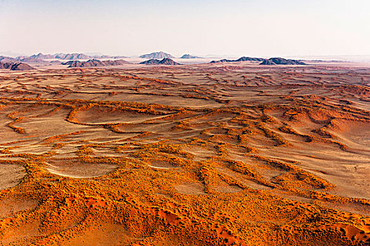 红地毯,进入,纳米比亚,红色,沙子