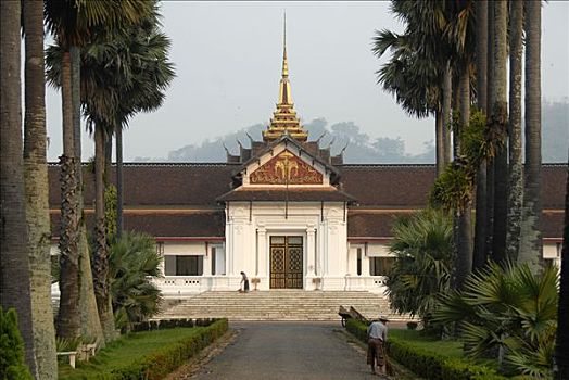 皇宫,博物馆,入口,手掌,排列,道路,琅勃拉邦,老挝,东南亚