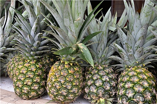 菠萝,热带水果