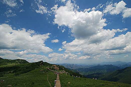 蓝天下的百花山