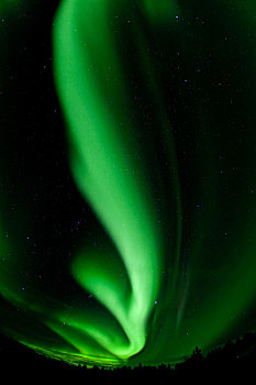 螺旋,北方,极光,北极光,绿色,靠近,育空地区,加拿大