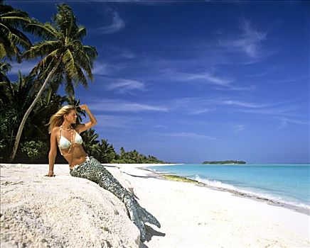 美人鱼,海滩,棕榈树,马尔代夫,印度洋