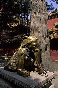 中国,北京,故宫,皇家,花园,青铜,大象