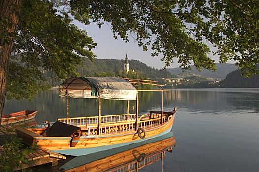 布莱德湖,船,岛屿,早晨,斯洛文尼亚,结冰,湖,极限,区域,西北地区,卢布尔雅那