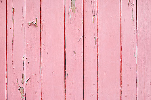 特写,粉色,涂绘,木墙,法国