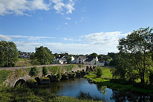 古桥,上方,河,基尔肯尼郡,爱尔兰