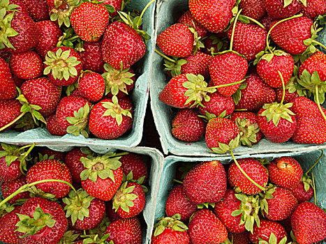 篮子,新鲜,草莓,农贸市场,普林斯顿