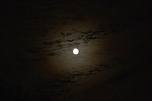 月亮,夜晚