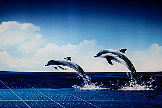 特写,逆光,广告牌,海豚,翱翔,海洋,太阳能电池板,上海,中国