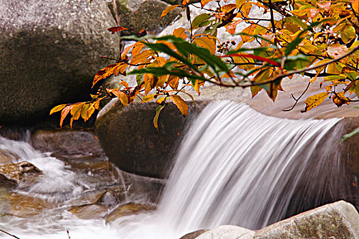 秋叶与流水