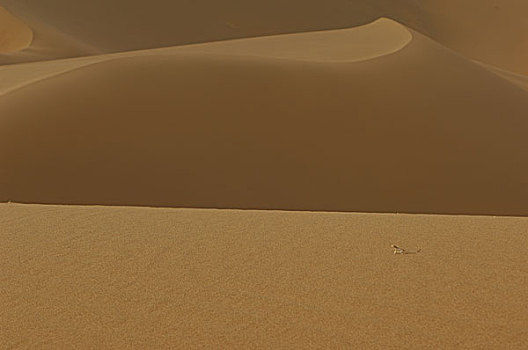 甘肃巴丹吉林沙漠