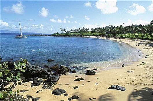 夏威夷,毛伊岛,卡帕鲁亚湾,胜地,海滩,水下呼吸管,帆船,锚定,湾