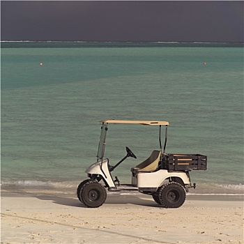 高尔夫球车,鹦鹉,海滩