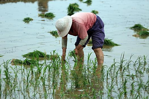 混水阀