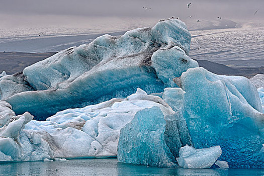 漂浮,蓝色,冰山,杰古沙龙湖,冰河,泻湖,黑背,海鸥,后面,瓦特纳冰川,南方,区域,冰岛,欧洲