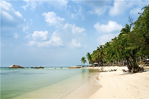 热带,异域风情,海滩,靠近,普吉岛,泰国