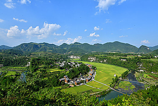 贵州遵义,大地披金满目秋,田园风光入画来