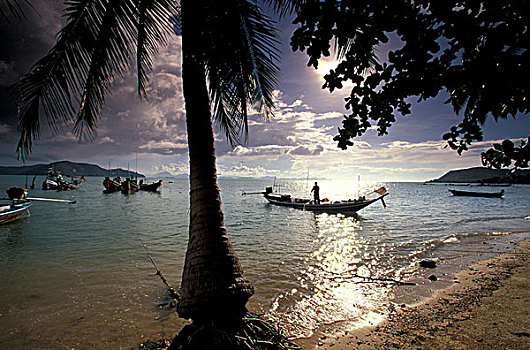 泰国,苏梅岛,岛屿,海景,船