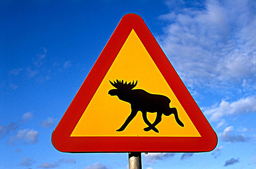 路标,警告,驼鹿,瑞典,斯堪的纳维亚