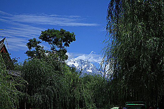 雪山绿树中国丽江