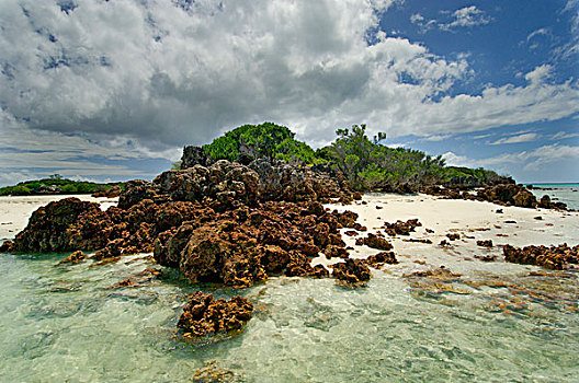 岛屿,珊瑚,环礁,塞舌尔